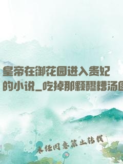 皇帝在御花园进入贵妃的小说