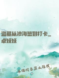 盗墓从沙海签到打卡