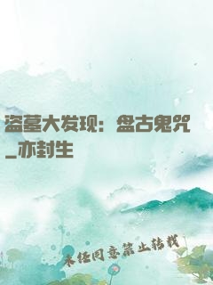 盗墓大发现：盘古鬼咒