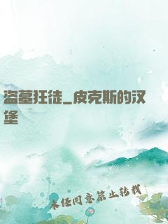 盗墓狂徒
