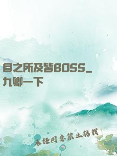 目之所及皆BOSS