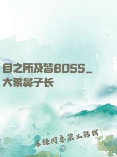 目之所及皆BOSS