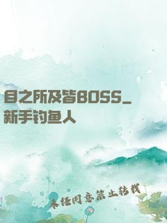 目之所及皆BOSS