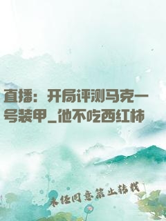 直播：开局评测马克一号装甲