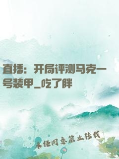 直播：开局评测马克一号装甲