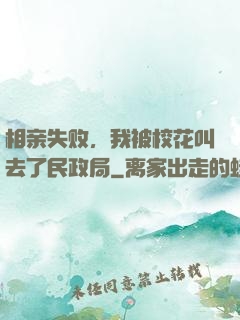 相亲失败，我被校花叫去了民政局