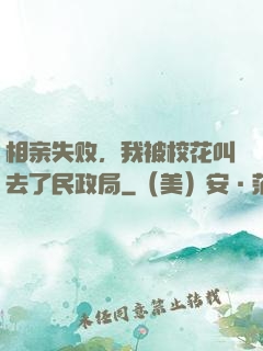 相亲失败，我被校花叫去了民政局