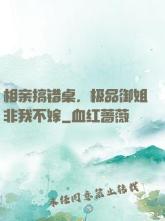 相亲搞错桌，极品御姐非我不嫁