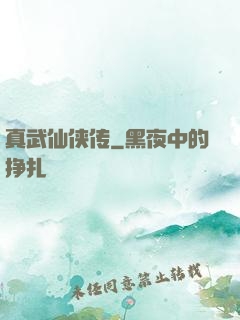 真武仙侠传