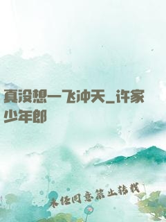 真没想一飞冲天
