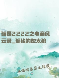 破局2222之电商风云录