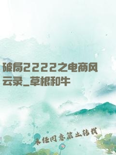 破局2222之电商风云录