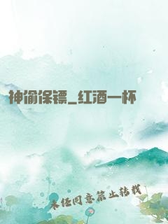 神偷保镖