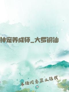 神宠养成师