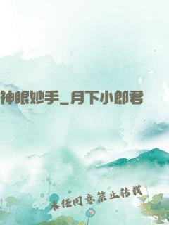 神眼妙手