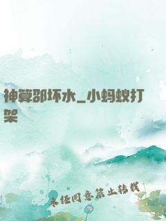 神算邵坏水