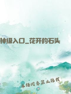 神级入口