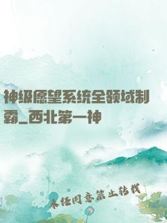 神级愿望系统全领域制霸