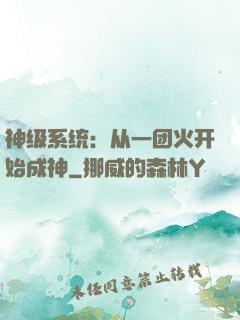 神级系统：从一团火开始成神