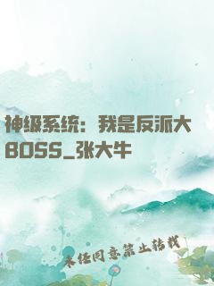 神级系统：我是反派大BOSS