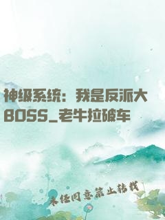 神级系统：我是反派大BOSS