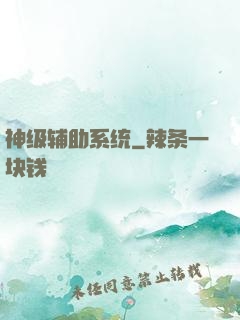 神级辅助系统