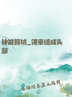 神能领域