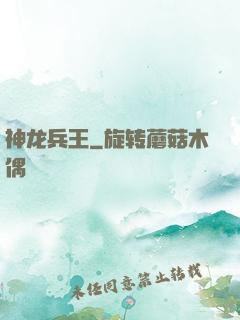 神龙兵王