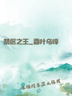 禁区之王