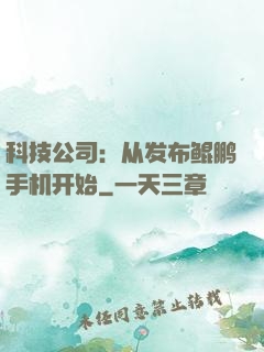 科技公司：从发布鲲鹏手机开始