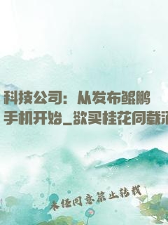 科技公司：从发布鲲鹏手机开始
