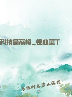 科技最巅峰