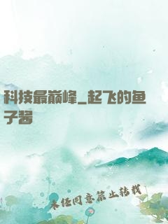 科技最巅峰