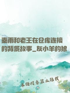 秦雨和老王在仓库连接的背景故事