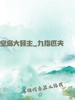 空岛大领主