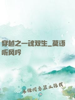 穿越之一魂双生