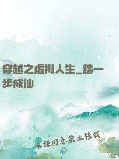 穿越之虚拟人生