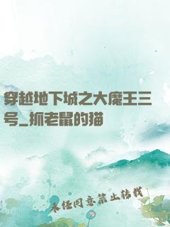 穿越地下城之大魔王三号