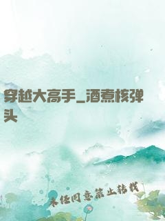 穿越大高手