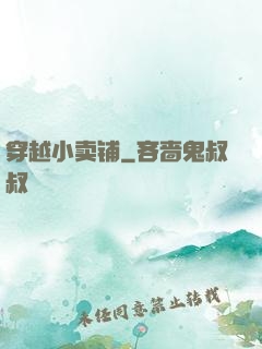 穿越小卖铺