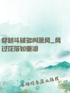 穿越斗破名叫萧风