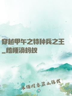穿越甲午之特种兵之王