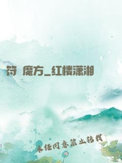 符箓魔方
