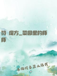 符箓魔方