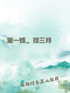 第一婿