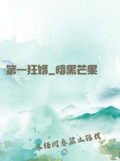 第一狂婿