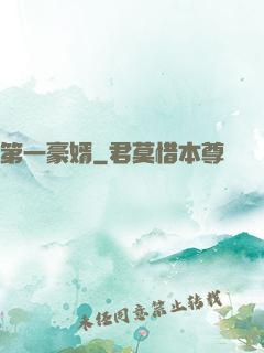 第一豪婿