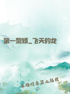 第一赘婿