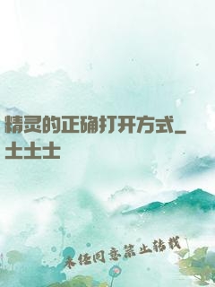 精灵的正确打开方式