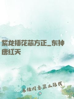 紫龙插花芯方正